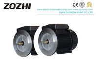 220V Single Phase Induction Motor , Swimming Pooling Pump Motor 50HZ/60HZ