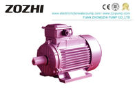 4 Pole Y2 Series 0.75kw 1Hp TEFC 3 Phase Induction Motor