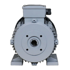 Hollow Shaft Three Phase Asynchronous Motor With 100mm Shaft Length