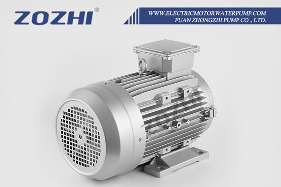 30HP 22KW AC Electric Induction Motors 24mm Hollow Shaft 1000rpm Three-Phase 50Hz Frequency 380V AC Aluminium 60Hz Enclosed