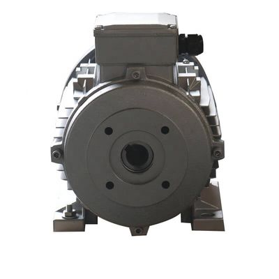ZOZHI 5.5KW Hollow Shaft Motor for Hawk Pump Interpump Ar Pump with IMB3/IMB5 Mounting Three Phase Induction Motor