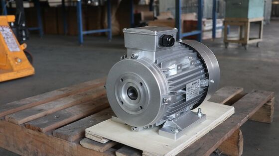 100 Percent Copper Winding Hollow Shaft Motor Customizable Design Ideal For Precision Machinery And Automation Equipment