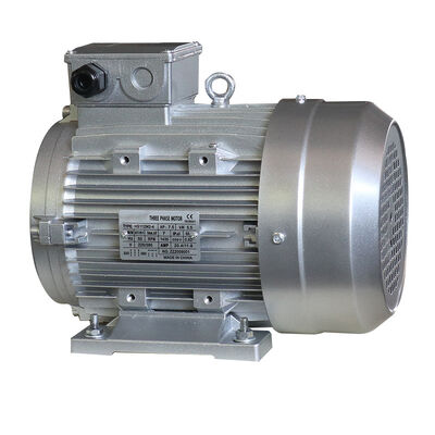 Insulation Class F H Hollow Shaft Motor Offering 1450RPM Asynchronous Speed and IP55 Protection for Conveyor Belt Systems