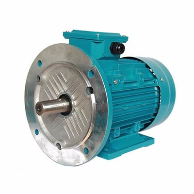 Energy-saving 3 Phase Induction Motor Offering Breakdown Torque 260 Percent Optimized for Industrial Machinery and Operation