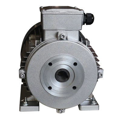 Efficient Hollow Shaft Motor With 24MM Shaft Diameter And ≤60dB Noise Level