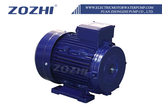 30HP 22KW AC Ηλεκτρικοί Επαγωγικοί Κινητήρες 24mm Κοίλος Άξονας 1000rpm Τριφασικοί 50Hz Συχνότητα 380V AC Αλουμίνιο 60Hz Κλειστού τύπου