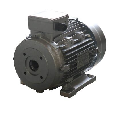 Outerdiameter 60 Mm Hollow Shaft Motor 4 Poles 8.8A Current Perfect Choice For Conveyor Systems And Industrial Machinery