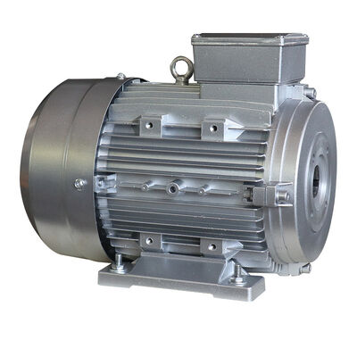 Life Span≥3000h Hollow Shaft Motor with Insulation Class B Designed to Enhance Spa Whirlpool System and Durable Function