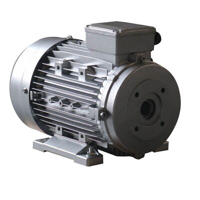 Frame 112 3 Phase Induction Motor Energy Saving Designed for Altitude ≤1000m Provides Stable Power and Long Service Life