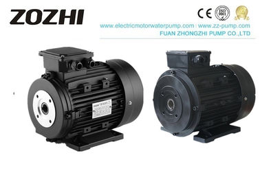 Washing Systems Hollow Shaft Electric Motor 132M1-4 9.5KW 12.5HP For NMT Pump