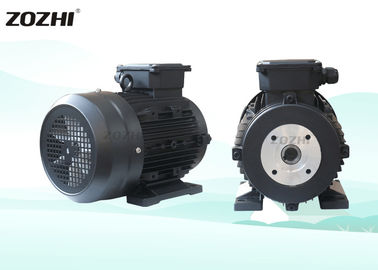 Hollow Shaft Three Phase Asynchronous Motor With 100mm Shaft Length